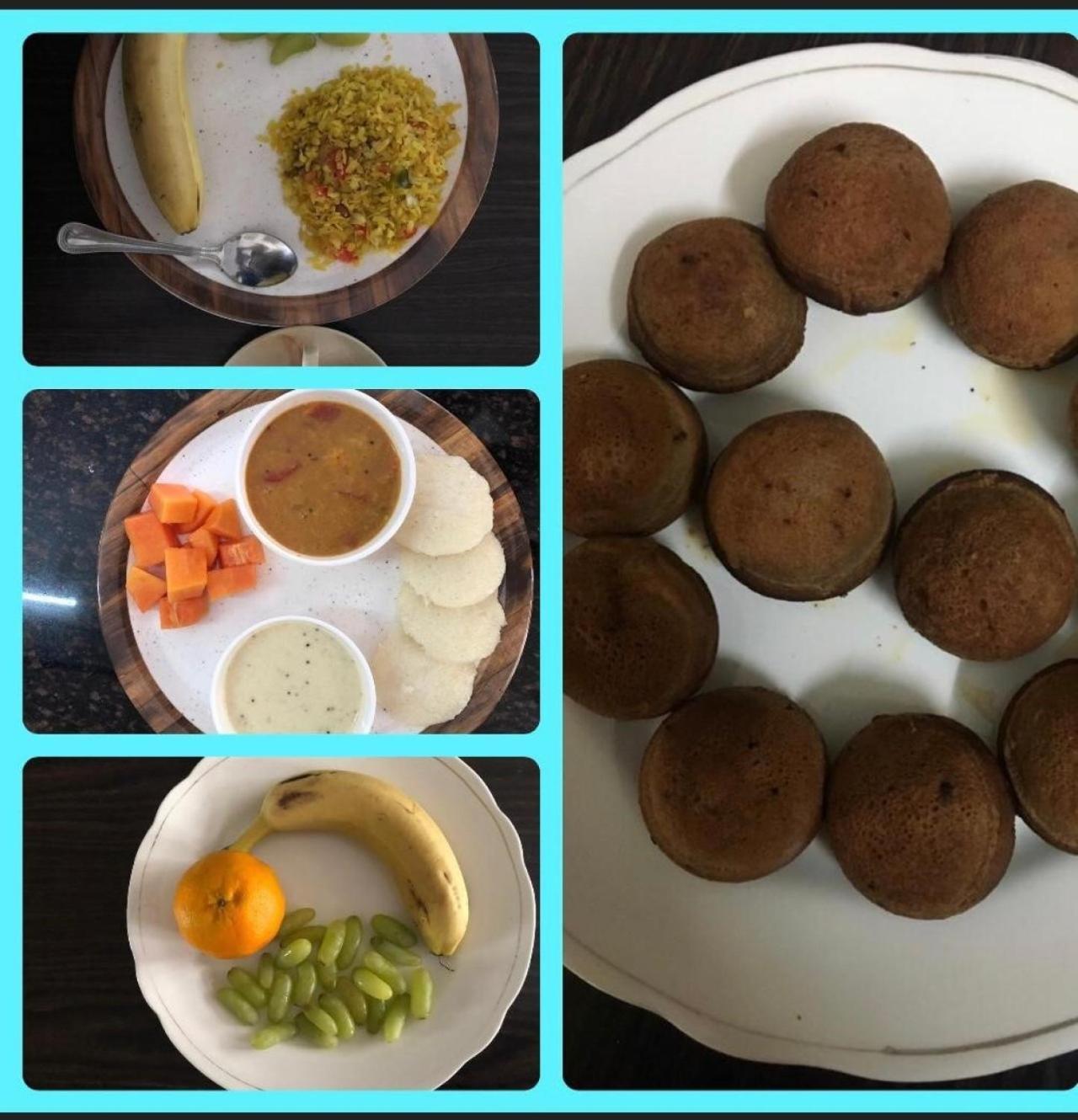 Mimosa Udaipur Bed and Breakfast Eksteriør billede